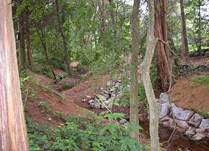 Erosion in Cardinal Glen drainage