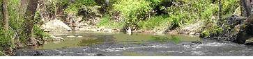 Loudoun Watershed Watch
