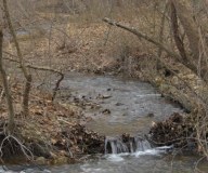 Photo by Nicole Hamilton