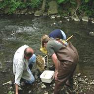 Stream Monitoring